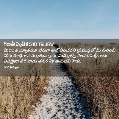Picture 02 - గలతీ పత్రిక 5:10 TELIRV - మీరెంత మాత్రమూ - Bible Verse Picture