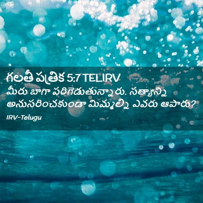 Picture 02 - గలతీ పత్రిక 5:7 TELIRV - మీరు బాగా - Bible Verse Picture