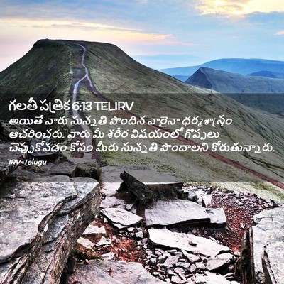 Picture 02 - గలతీ పత్రిక 6:13 TELIRV - అయితే వారు - Bible Verse Picture
