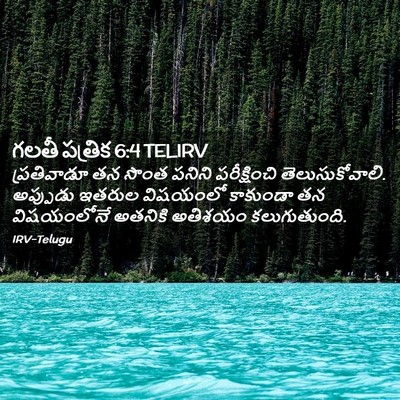 Picture 02 - గలతీ పత్రిక 6:4 TELIRV - ప్రతివాడూ తన సొంత - Bible Verse Picture