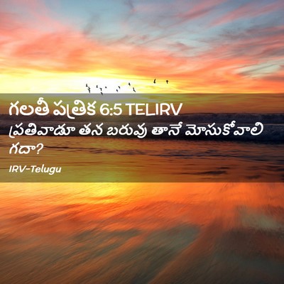 Picture 02 - గలతీ పత్రిక 6:5 TELIRV - ప్రతివాడూ తన - Bible Verse Picture