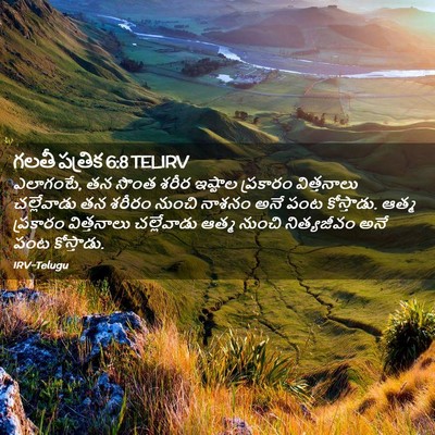 Picture 02 - గలతీ పత్రిక 6:8 TELIRV - ఎలాగంటే, తన సొంత - Bible Verse Picture