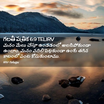 Picture 02 - గలతీ పత్రిక 6:9 TELIRV - మనం మేలు చేస్తూ - Bible Verse Picture