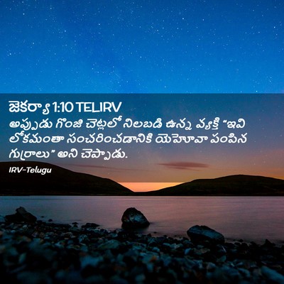 Picture 02 - జెకర్యా 1:10 TELIRV - అప్పుడు గొంజి - Bible Verse Picture