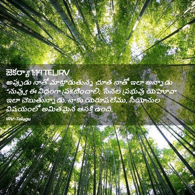 Picture 02 - జెకర్యా 1:14 TELIRV - అప్పుడు నాతో - Bible Verse Picture