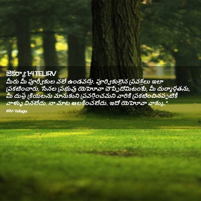 Picture 02 - జెకర్యా 1:4 TELIRV - మీరు మీ పూర్వీకుల - Bible Verse Picture