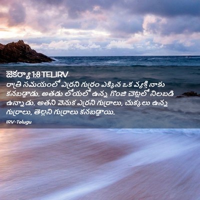Picture 02 - జెకర్యా 1:8 TELIRV - రాత్రి సమయంలో - Bible Verse Picture