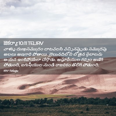 Picture 02 - జెకర్యా 10:11 TELIRV - వాళ్ళు - Bible Verse Picture