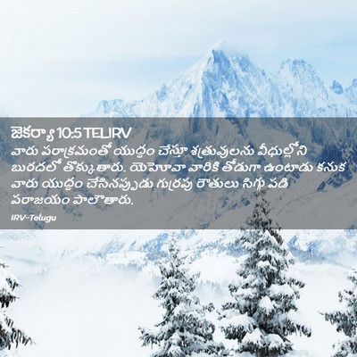 Picture 02 - జెకర్యా 10:5 TELIRV - వారు పరాక్రమంతో - Bible Verse Picture