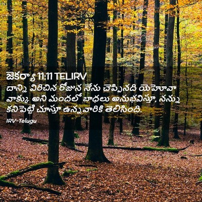 Picture 02 - జెకర్యా 11:11 TELIRV - దాన్ని విరిచిన - Bible Verse Picture