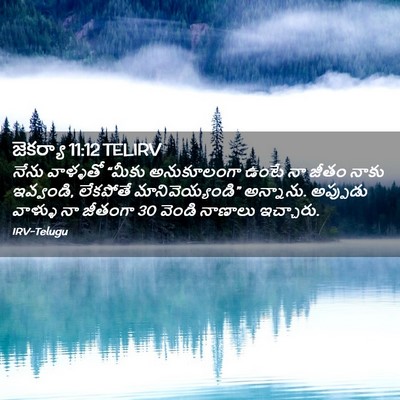 Picture 02 - జెకర్యా 11:12 TELIRV - నేను వాళ్ళతో - Bible Verse Picture