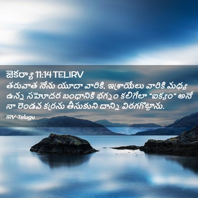 Picture 02 - జెకర్యా 11:14 TELIRV - తరువాత నేను యూదా - Bible Verse Picture