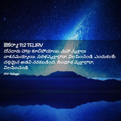Picture 02 - జెకర్యా 11:2 TELIRV - దేవదారు చెట్లు - Bible Verse Picture