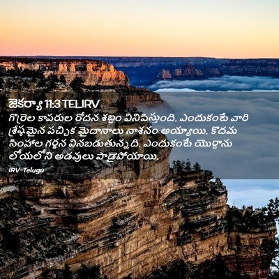 Picture 02 - జెకర్యా 11:3 TELIRV - గొర్రెల కాపరుల - Bible Verse Picture