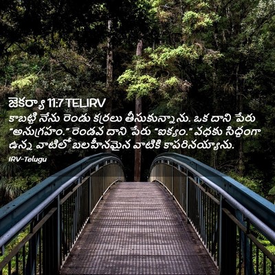 Picture 02 - జెకర్యా 11:7 TELIRV - కాబట్టి నేను - Bible Verse Picture