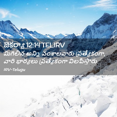 Picture 02 - జెకర్యా 12:14 TELIRV - మిగిలిన అన్ని - Bible Verse Picture