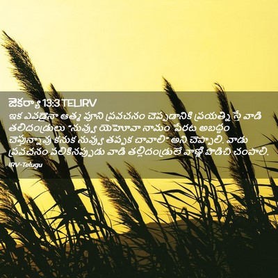 Picture 02 - జెకర్యా 13:3 TELIRV - ఇక ఎవడైనా ఆత్మ - Bible Verse Picture