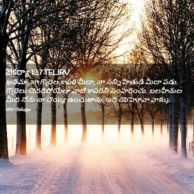 Picture 02 - జెకర్యా 13:7 TELIRV - ఖడ్గమా, నా గొర్రెల - Bible Verse Picture