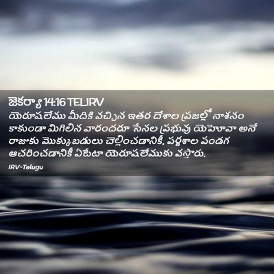 Picture 02 - జెకర్యా 14:16 TELIRV - యెరూషలేము మీదికి - Bible Verse Picture