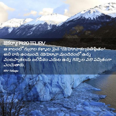 Picture 02 - జెకర్యా 14:20 TELIRV - ఆ కాలంలో గుర్రాల - Bible Verse Picture