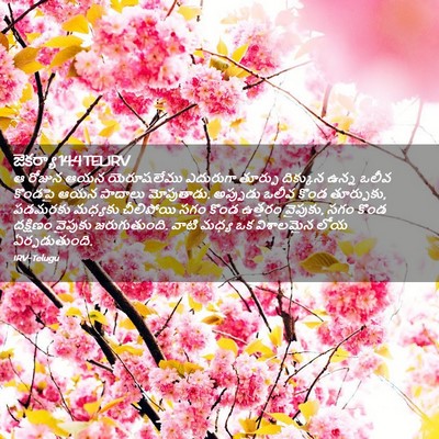Picture 02 - జెకర్యా 14:4 TELIRV - ఆ రోజున ఆయన - Bible Verse Picture
