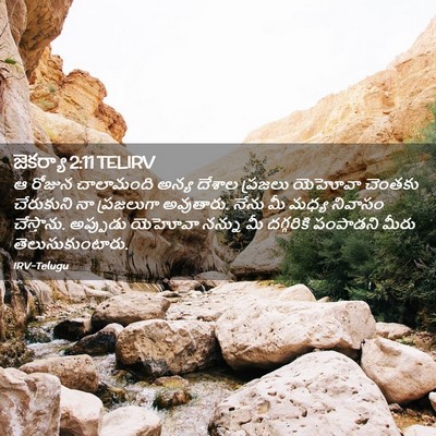 Picture 02 - జెకర్యా 2:11 TELIRV - ఆ రోజున చాలామంది - Bible Verse Picture