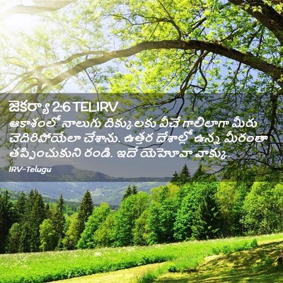 Picture 02 - జెకర్యా 2:6 TELIRV - ఆకాశంలో నాలుగు - Bible Verse Picture