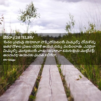 Picture 02 - జెకర్యా 2:8 TELIRV - సేనల ప్రభువు - Bible Verse Picture
