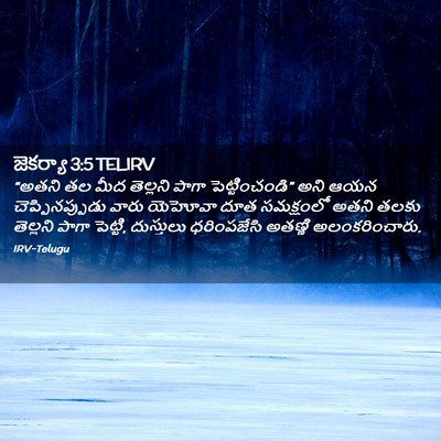 Picture 02 - జెకర్యా 3:5 TELIRV - “అతని తల మీద - Bible Verse Picture