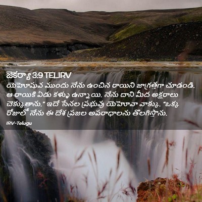 Picture 02 - జెకర్యా 3:9 TELIRV - యెహోషువ ముందు - Bible Verse Picture