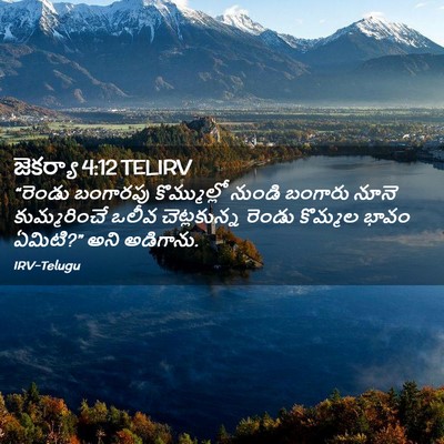 Picture 02 - జెకర్యా 4:12 TELIRV - “రెండు బంగారపు - Bible Verse Picture