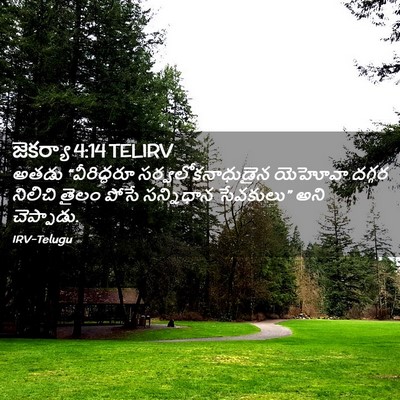 Picture 02 - జెకర్యా 4:14 TELIRV - అతడు “వీరిద్దరూ - Bible Verse Picture