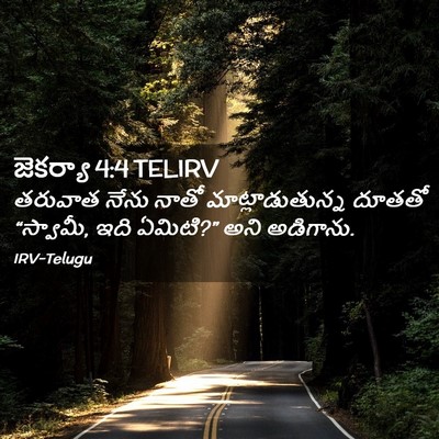 Picture 02 - జెకర్యా 4:4 TELIRV - తరువాత నేను నాతో - Bible Verse Picture