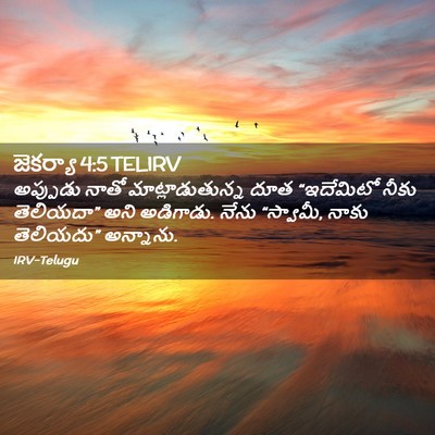 Picture 02 - జెకర్యా 4:5 TELIRV - అప్పుడు నాతో - Bible Verse Picture