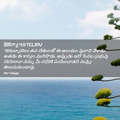 Picture 02 - జెకర్యా 4:9 TELIRV - “జెరుబ్బాబెలు తన - Bible Verse Picture