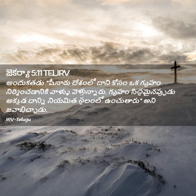 Picture 02 - జెకర్యా 5:11 TELIRV - అందుకతడు “షీనారు - Bible Verse Picture