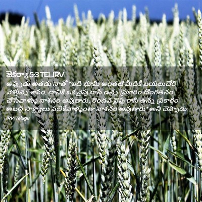 Picture 02 - జెకర్యా 5:3 TELIRV - అప్పుడు అతడు నాతో - Bible Verse Picture