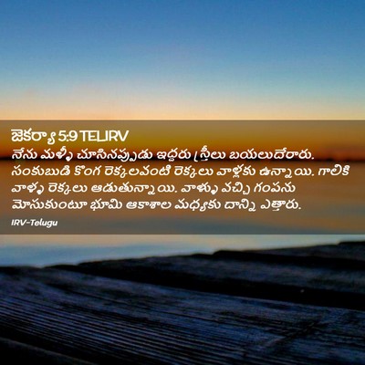Picture 02 - జెకర్యా 5:9 TELIRV - నేను మళ్ళీ - Bible Verse Picture