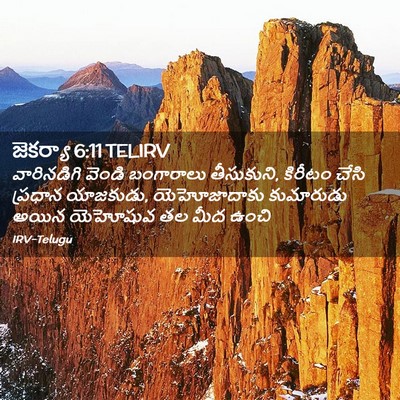 Picture 02 - జెకర్యా 6:11 TELIRV - వారినడిగి వెండి - Bible Verse Picture
