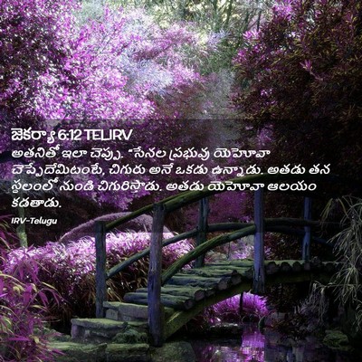 Picture 02 - జెకర్యా 6:12 TELIRV - అతనితో ఇలా చెప్పు. - Bible Verse Picture