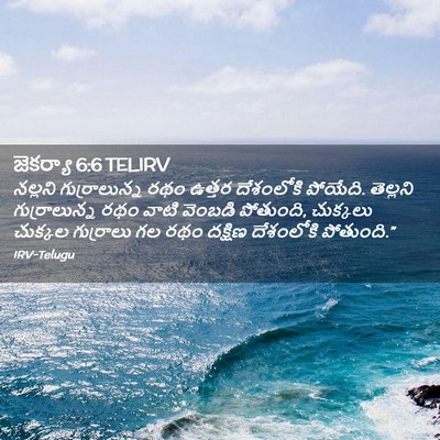 Picture 02 - జెకర్యా 6:6 TELIRV - నల్లని - Bible Verse Picture