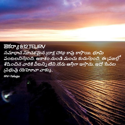 Picture 02 - జెకర్యా 8:12 TELIRV - సమాధాన సూచకమైన - Bible Verse Picture