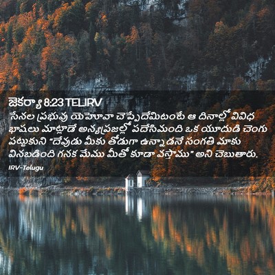 Picture 02 - జెకర్యా 8:23 TELIRV - సేనల ప్రభువు - Bible Verse Picture