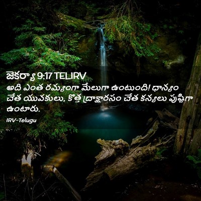 Picture 02 - జెకర్యా 9:17 TELIRV - అది ఎంత రమ్యంగా - Bible Verse Picture