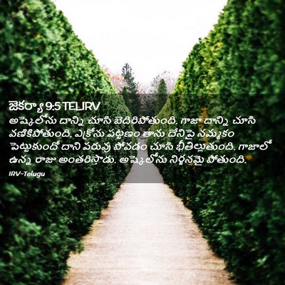 Picture 02 - జెకర్యా 9:5 TELIRV - అష్కెలోను దాన్ని - Bible Verse Picture