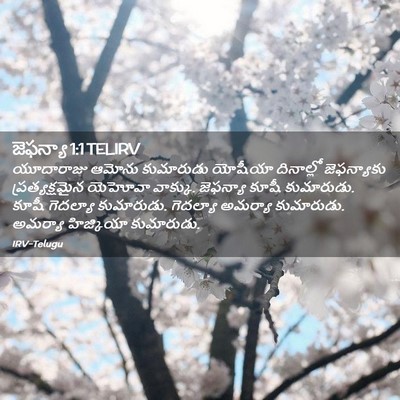 Picture 02 - జెఫన్యా 1:1 TELIRV - యూదారాజు ఆమోను - Bible Verse Picture