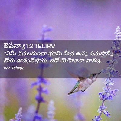 Picture 02 - జెఫన్యా 1:2 TELIRV - “ఏమీ వదలకుండా - Bible Verse Picture