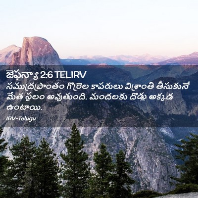 Picture 02 - జెఫన్యా 2:6 TELIRV - సముద్రప్రాంతం - Bible Verse Picture