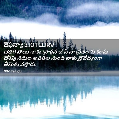 Picture 02 - జెఫన్యా 3:10 TELIRV - చెదరి పోయి నాకు - Bible Verse Picture