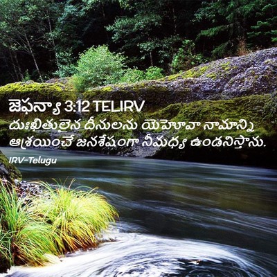 Picture 02 - జెఫన్యా 3:12 TELIRV - దుఃఖితులైన - Bible Verse Picture